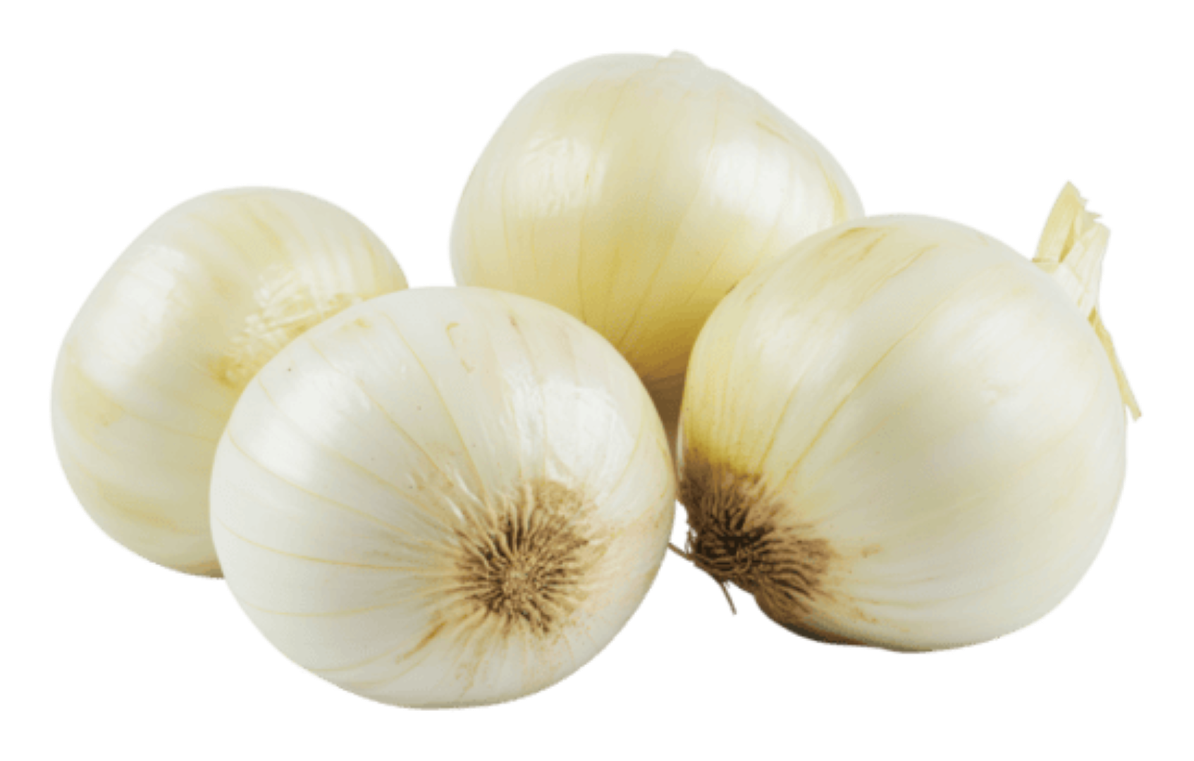 FRESH WHITE ONION